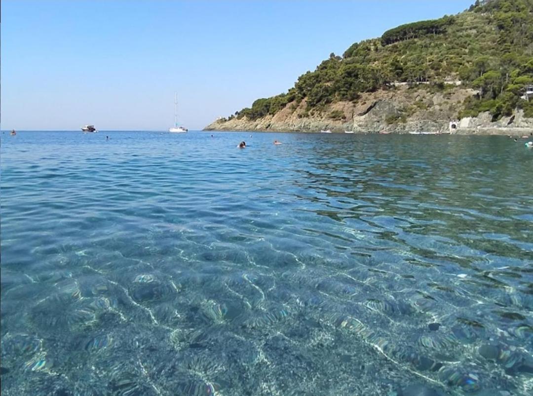 Ferienwohnung Nido Al Mare Bonassola Exterior foto